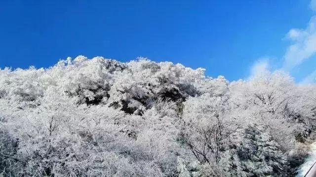 古墓丽影9