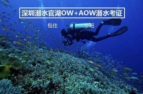 超级坦克消灭僵尸