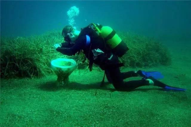 人鱼公主温泉疗养
