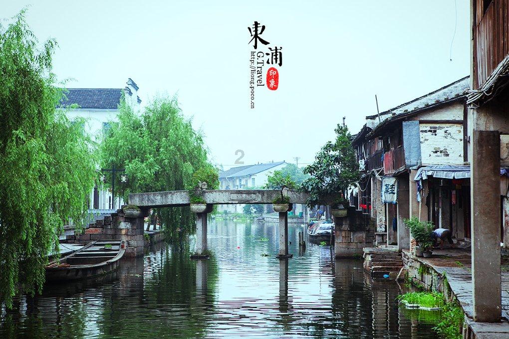 逃离幽灵之林